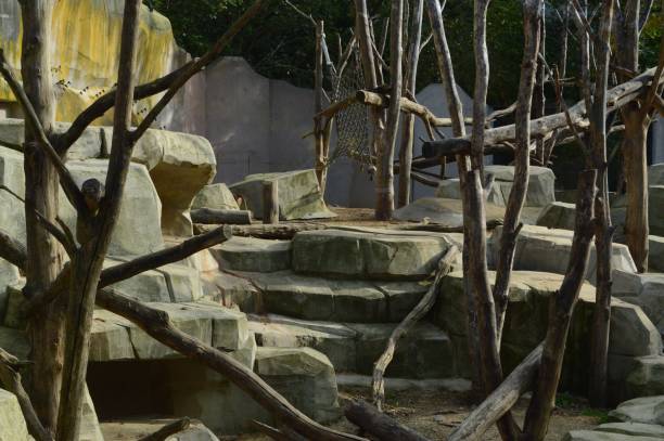 istock Close-up of branches and rocks 2179016807