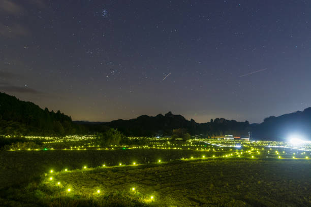istock Illumination of rice fields at night 2179024122