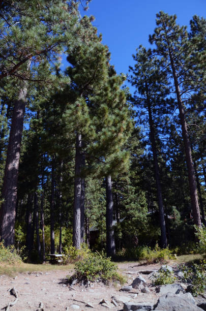 istock Kings Beach, Lake Tahoe i 2179027280