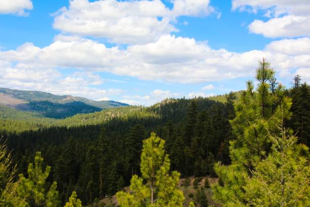 istock Scenic forest and mountain landscape 2179033518