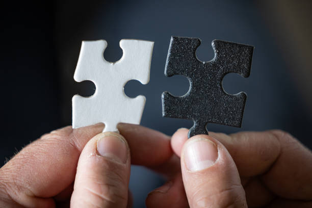 istock A hand holding two puzzle pieces, one white and one black 2179034248