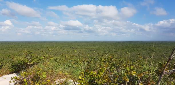 istock places and landscapes in brazil 2179038432