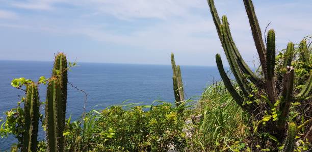 istock places and landscapes in brazil 2179038433
