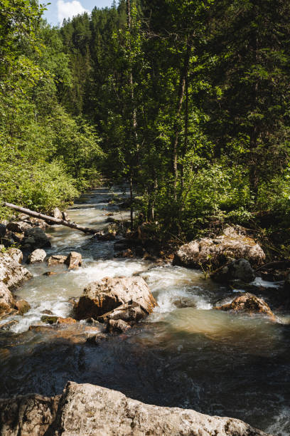 istock A serene river winds through lush greenery and mountains, forming a tranquil natural landscape. The flow of water amidst rich flora and majestic peaks offers a captivating view 2179056161