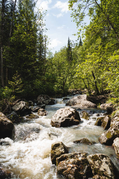 istock A river meandering through a lush forest, flanked by rocks and trees under a serene sky. The landscape showcases the beauty of water resources and natural fluvial landforms 2179056178