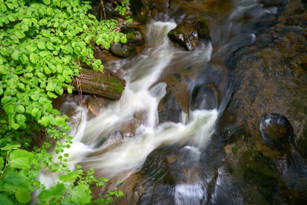 Water flowing over Cliff Falls in Kanaka Creek Regional Park.