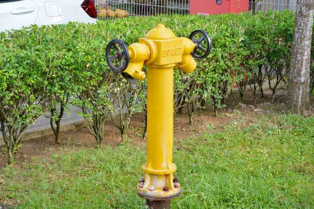 The image shows a yellow fire hydrant located in a residential area.