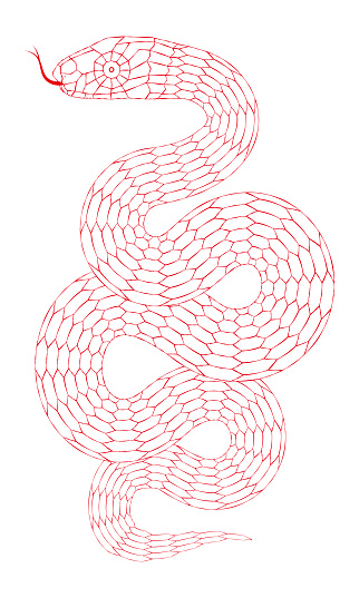 Snake Line Patterns Cartoon Snake Pattern With Red Line Stroke Stock Illustration ...