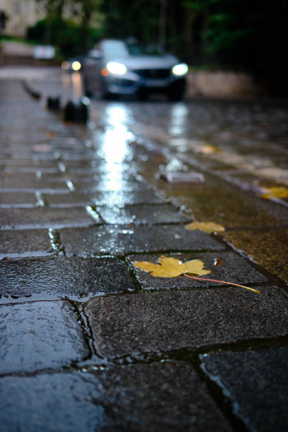 istock A dry leaf in a wet road 2179063934