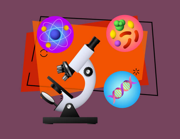 Microscope, DNA, bacterium and atom vector Microscope, DNA, bacterium and atom vector illustration. Study, laboratory, research. Education concept. Vector illustration can be used for topics like school, science, biology microbiology stock illustrations