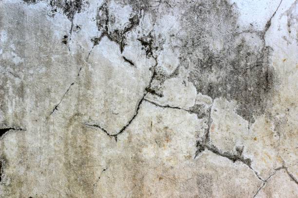 Close-up of a cracked, weathered concrete wall showing fractures and worn texture