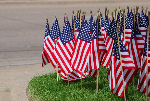istock groups of USA flags on the meadow 2179086771