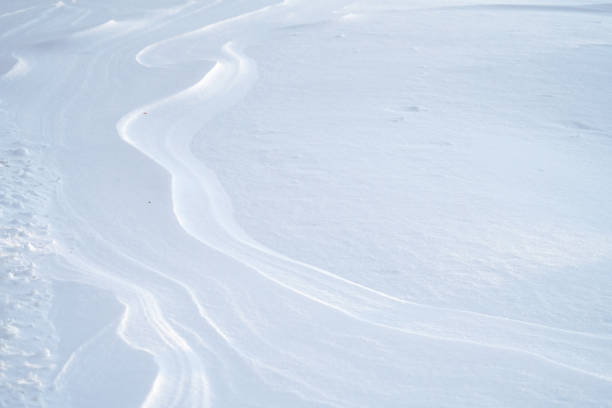 close on drift snow background, winter seasonal scene