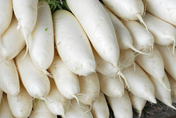istock Close up on white radish in pile 2179087191