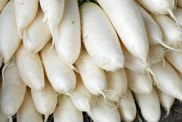 istock Close up on white radish in pile 2179087242