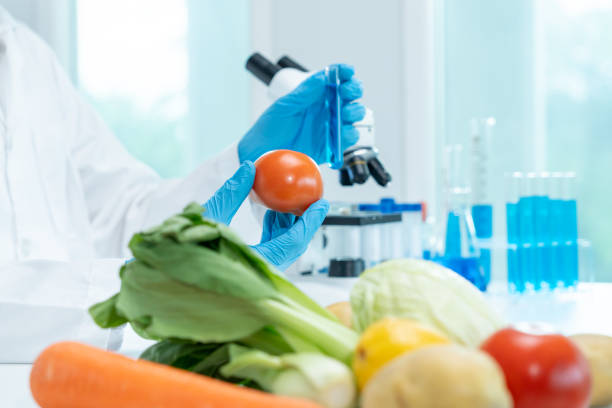 istock Scientist check chemical fruit residues in laboratory. Control experts inspect the concentration of chemical residues. hazards, standard, find prohibited substances, contaminate, Microbiologist 2179089969