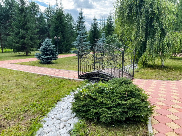 Free picture: backyard, rural, garden, park, landscape, city, nature ...
