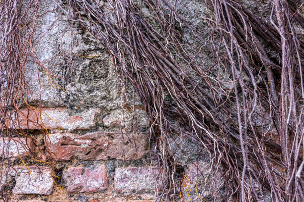 istock Texture of a grungy black concrete wall as a background. 2179097292