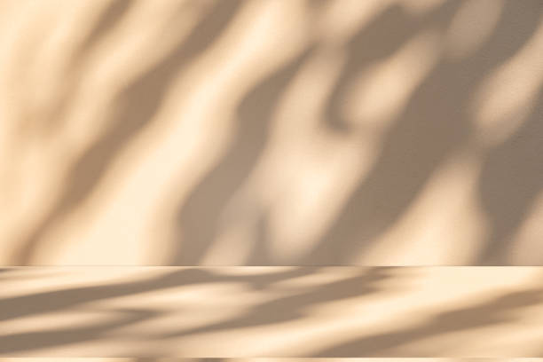 istock Studio style background wall decoration presentation uses white and beige tones. with shadows cast from a nearby window, concept creating a decorative 2179107341