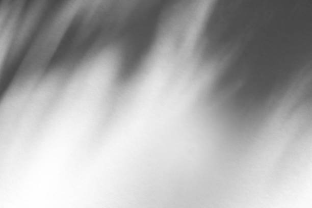 istock Wall interior background, studio and backdrops show products.with shadow from window color white . background for text insertion and presentation product 2179107342