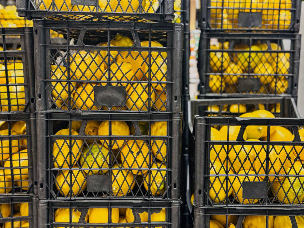 The image shows several plastic crates stacked on top of one another, each filled with lemons.