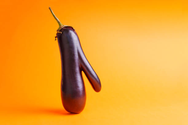 Eggplant on white background