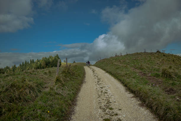 istock Pathway crossing the green field 2179118235