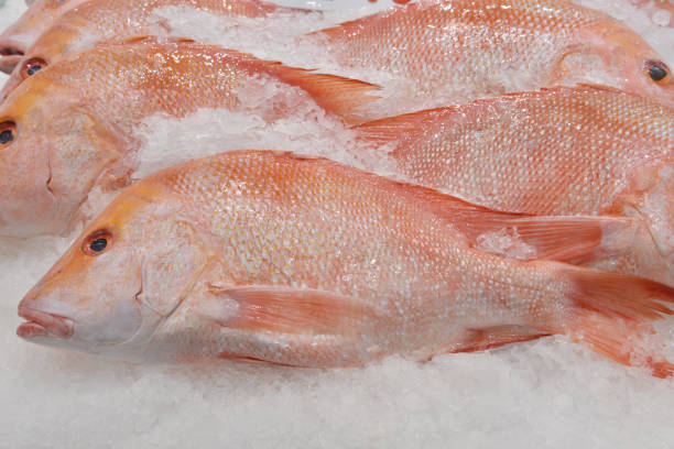 Fresh fish displayed on ice at a seafood market, showcasing their shiny scales and natural colors.