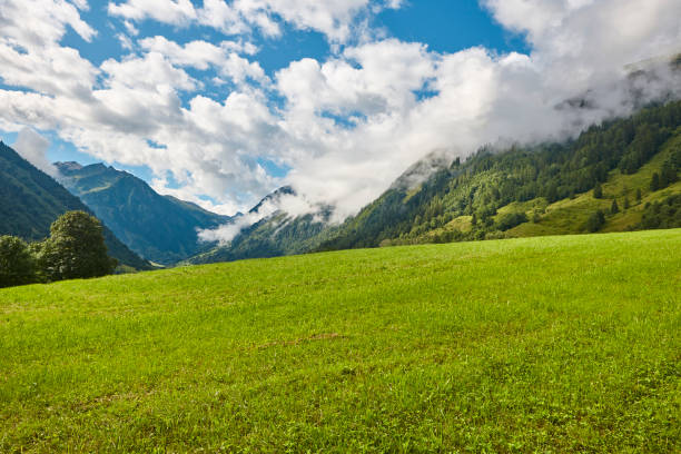 Grossglockner. Serpentine alpine road viewpoint. Green valley and clouds. Austria