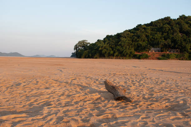 istock vast stretches of sandy 