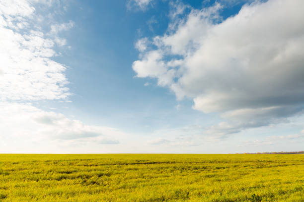 istock Gorgeous view of fresh green field with white fluffy clouds. 2179127598