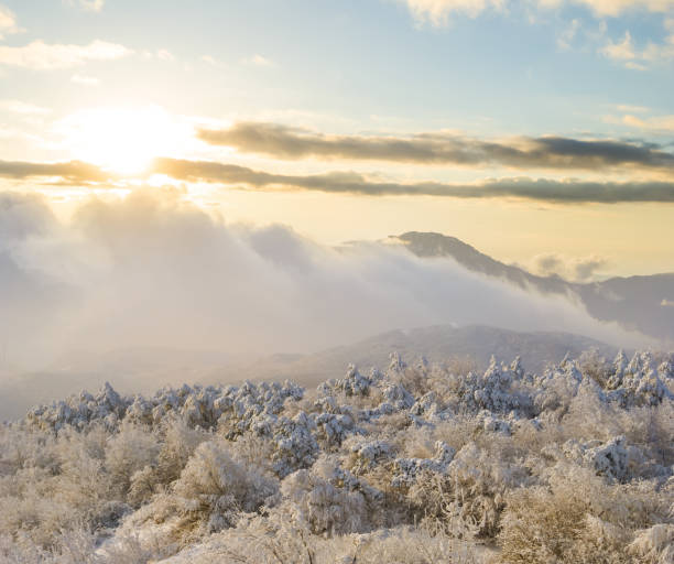 istock mountain valley with snowbound forest at the sunset 2179130202