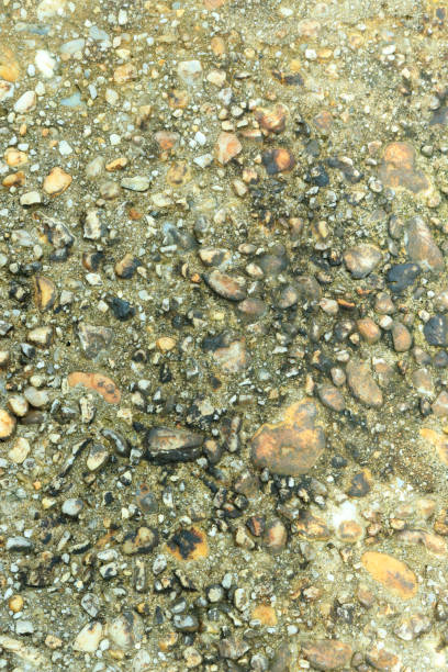istock Gray stone gravel floor texture background with mossy rocks. 2179132723