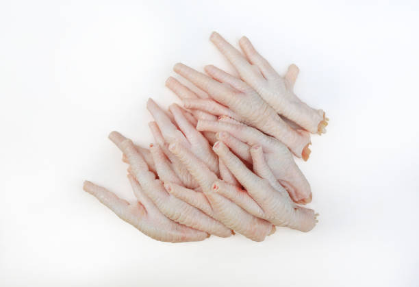 Raw chicken feet isolated on white background. Top view.