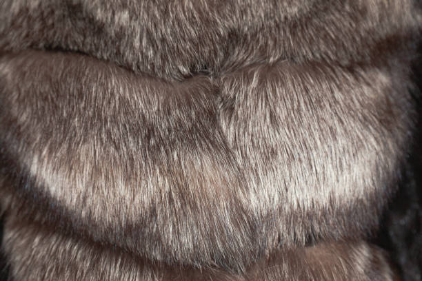 istock Background of winter fur coats, close-up. 2179146185