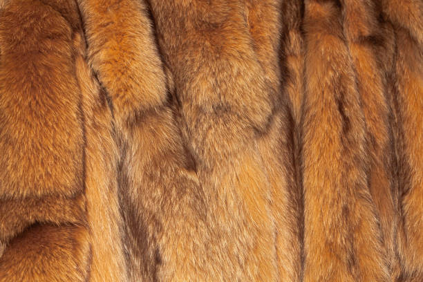 istock Background of winter fur coats, close-up. 2179146190
