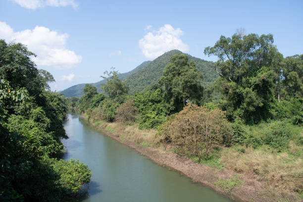 istock rivulet from river 