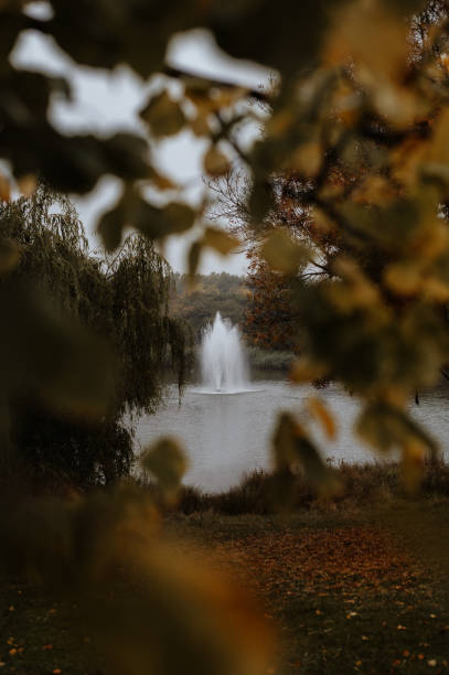 istock fountain through the autumn leaves 2179155470