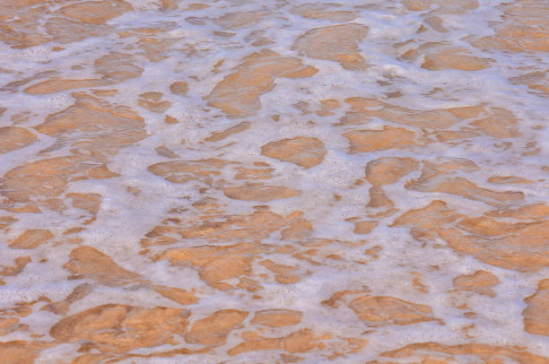 A beach with a large wave crashing onto the shore. The water is a mix of white and brown, creating a unique and interesting texture. The scene is dynamic and full of energy, with the wave's force