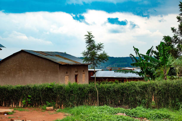 A peaceful rural scene showcasing traditional houses with metal roofs, surrounded by dense green foliage and crops. The landscape features rolling hills in the background, adding depth and context to the simplicity of rural life. This image captures the essence of rural living, community, and sustainable farming, perfect for themes related to agriculture, village life, and eco-friendly living.