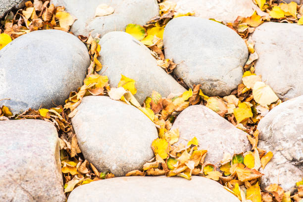 Free Stock Photo of Autumn leaf on cobblestone path | Download Free ...