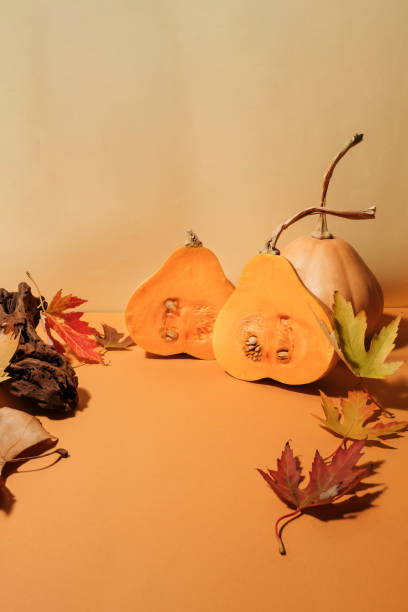 istock Half cut and one whole butternut squash and many dry leaves autumn background 2179163742