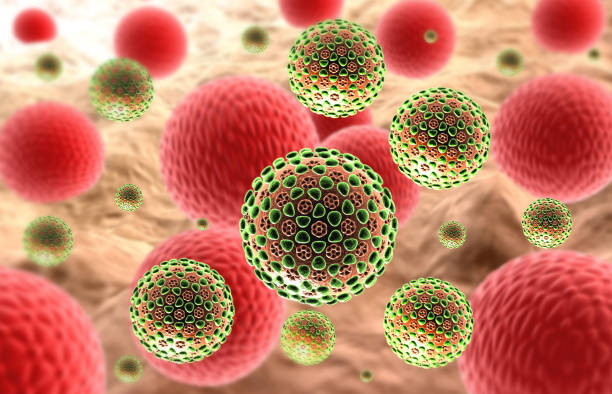 istock Coronavirus cells covid-19 influenza virus cells 2179166002
