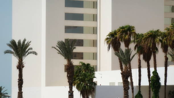 istock Palms Modern Building Front View Daylight Urban Green 2179167640