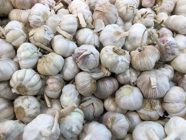 istock Fresh garlic, spice, close up photo 2179173688