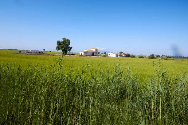 istock Serene Farmhouse Amid Lush Green Fields 2179177170
