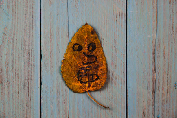 Funny angry smiley drawn on a yellow leaf