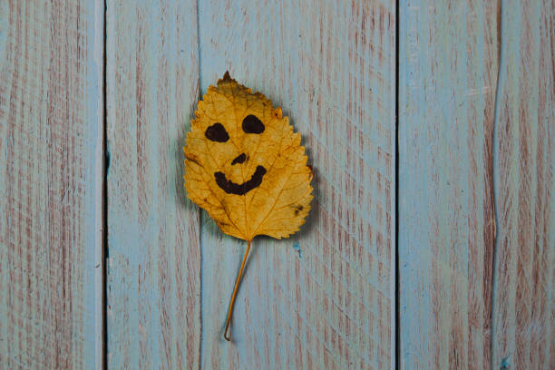 Funny smiley emoticon on a yellow leaf
