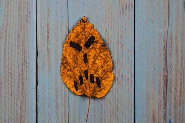 Funny angry smiley drawn on a yellow leaf