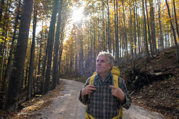 istock Senior man hiking in the woods 2179185758